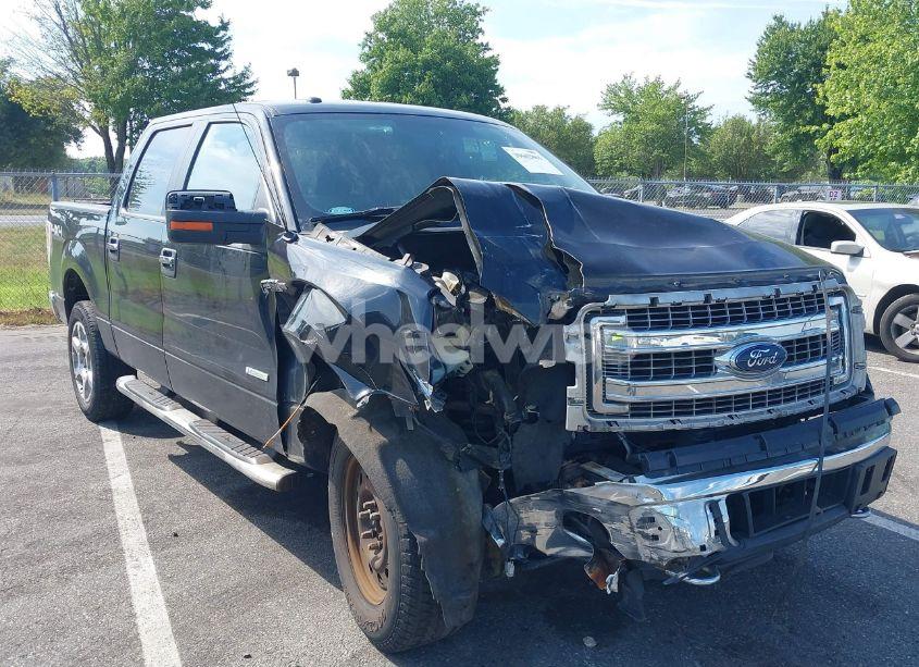 2014 Ford F-150 XLT (VIN 1FTFW1ET0EKE35503) main photo