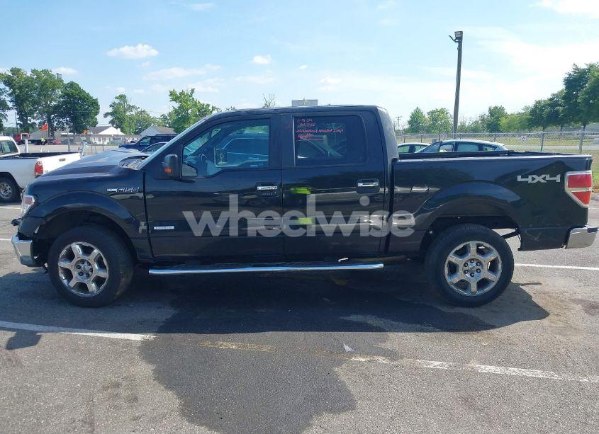 Photo 14 of 2014 Ford F-150 XLT (VIN 1FTFW1ET0EKE35503)