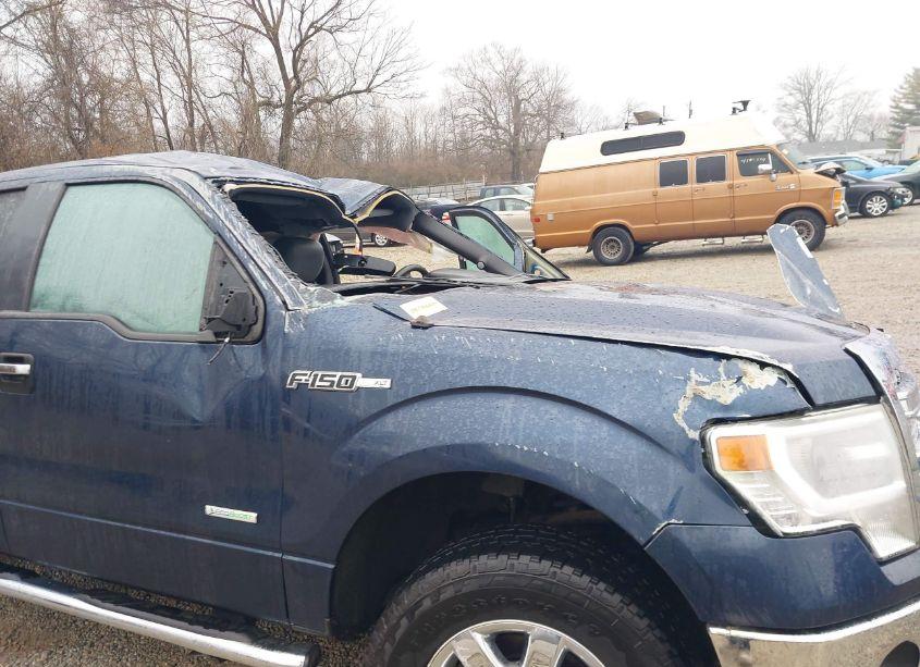 Photo 19 of 2014 Ford F-150 XLT (VIN 1FTFW1ET0EKG30761)