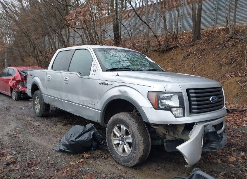 2011 Ford F-150 FX4 (VIN 1FTFW1ET1BFD23846) main photo