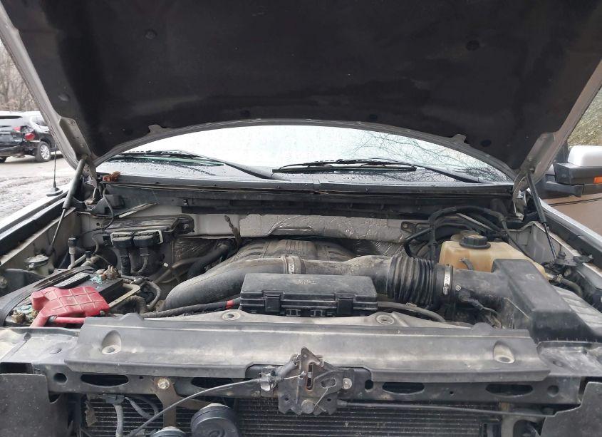 Photo 10 of 2011 Ford F-150 FX4 (VIN 1FTFW1ET1BFD23846)