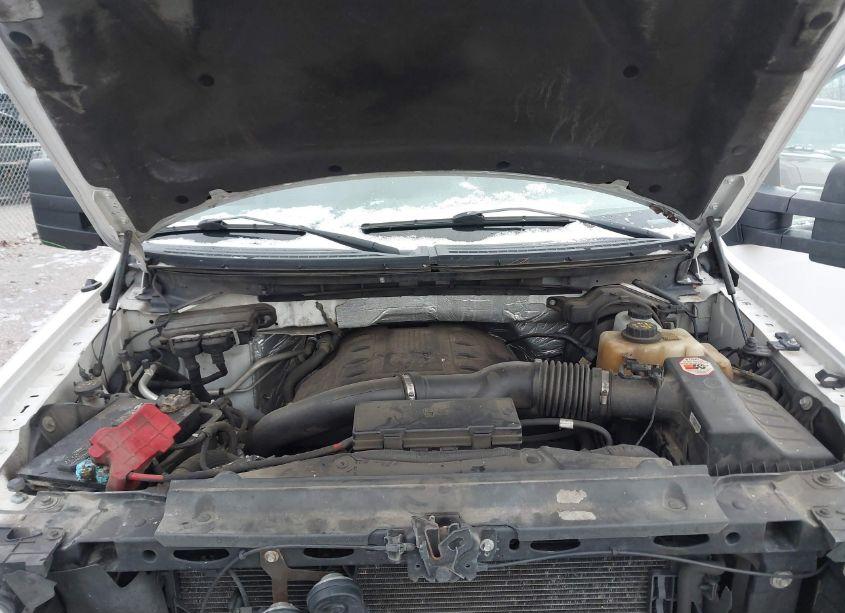 Photo 10 of 2013 Ford F-150 XLT (VIN 1FTFW1ET1DFA66108)