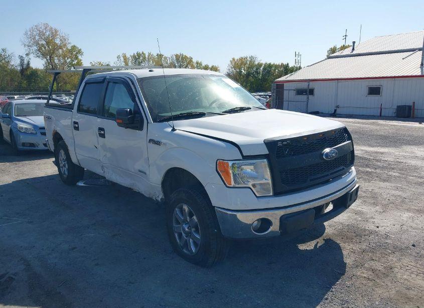 2013 Ford F-150 XLT (VIN 1FTFW1ET1DKD46036) main photo