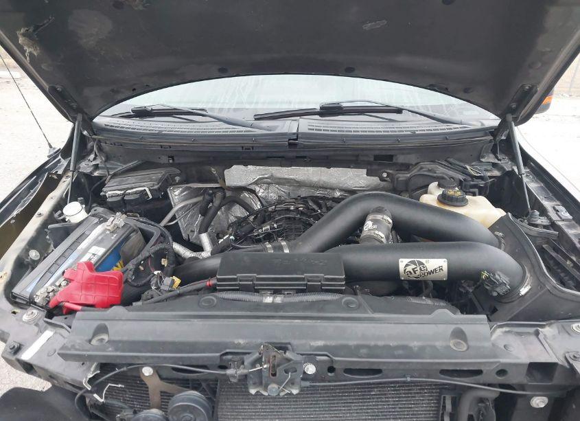 Photo 10 of 2013 Ford F-150 XLT (VIN 1FTFW1ET1DKE74521)