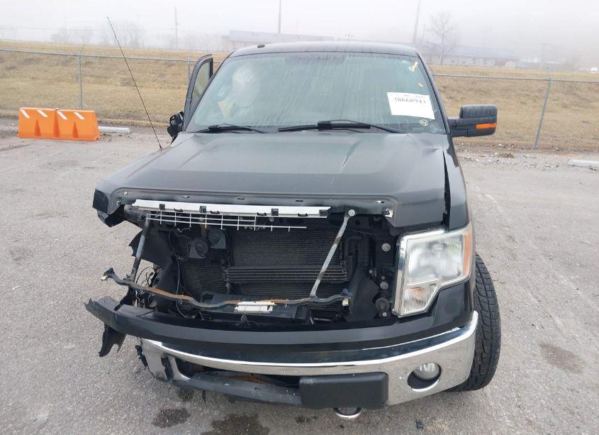 Photo 12 of 2013 Ford F-150 XLT (VIN 1FTFW1ET1DKE74521)