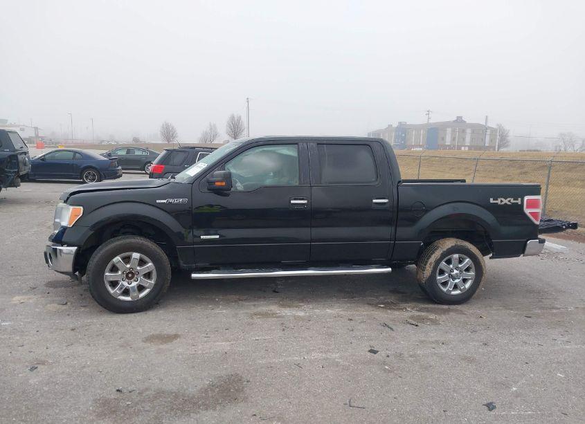 Photo 14 of 2013 Ford F-150 XLT (VIN 1FTFW1ET1DKE74521)
