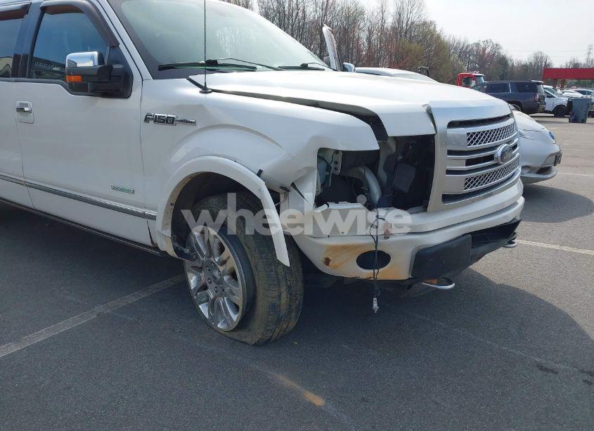Photo 6 of 2014 Ford F-150 PLATINUM (VIN 1FTFW1ET1EFB06866)