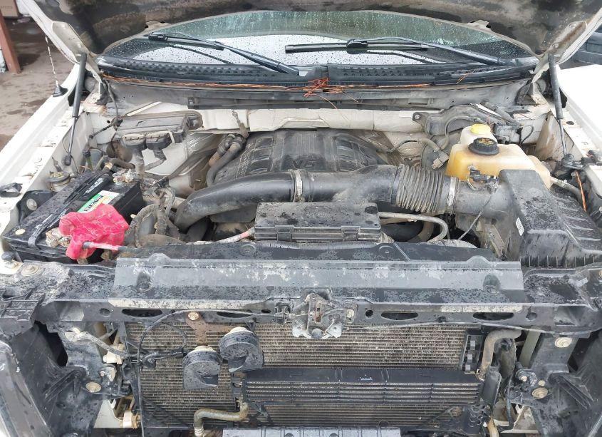 Photo 10 of 2014 Ford F-150 XLT (VIN 1FTFW1ET1EFB30052)