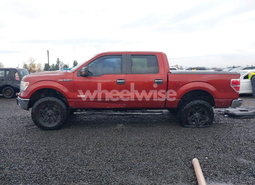 Photo 15 of 2014 Ford F-150 XLT (VIN 1FTFW1ET1EKD96436)