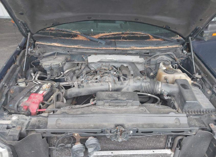 Photo 10 of 2011 Ford F-150 XLT (VIN 1FTFW1ET2BFC09435)