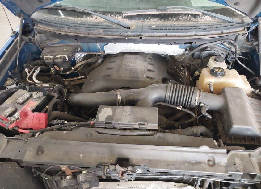 Photo 10 of 2011 Ford F-150 FX4 (VIN 1FTFW1ET2BKE22599)