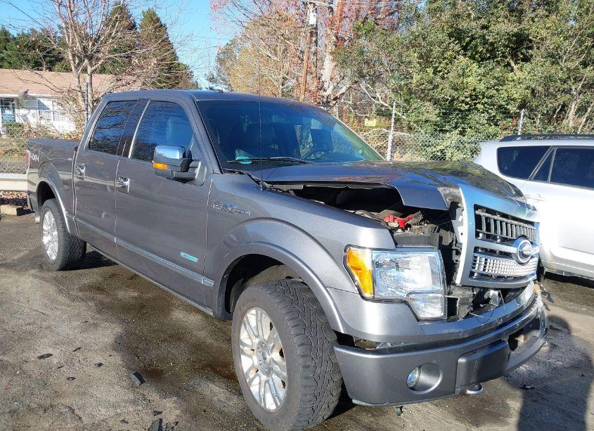 2012 Ford F-150 PLATINUM (VIN 1FTFW1ET2CFC88381) main photo