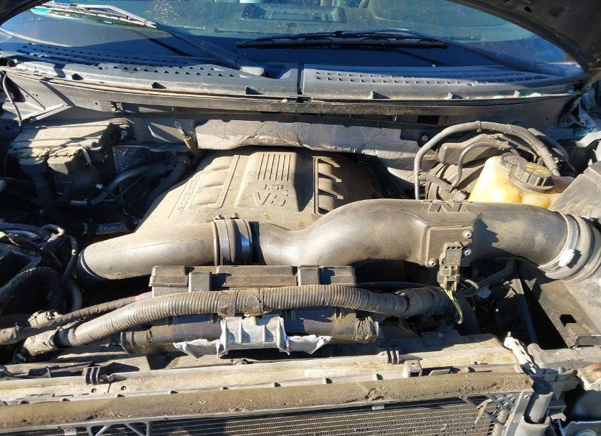 Photo 10 of 2012 Ford F-150 PLATINUM (VIN 1FTFW1ET2CFC88381)