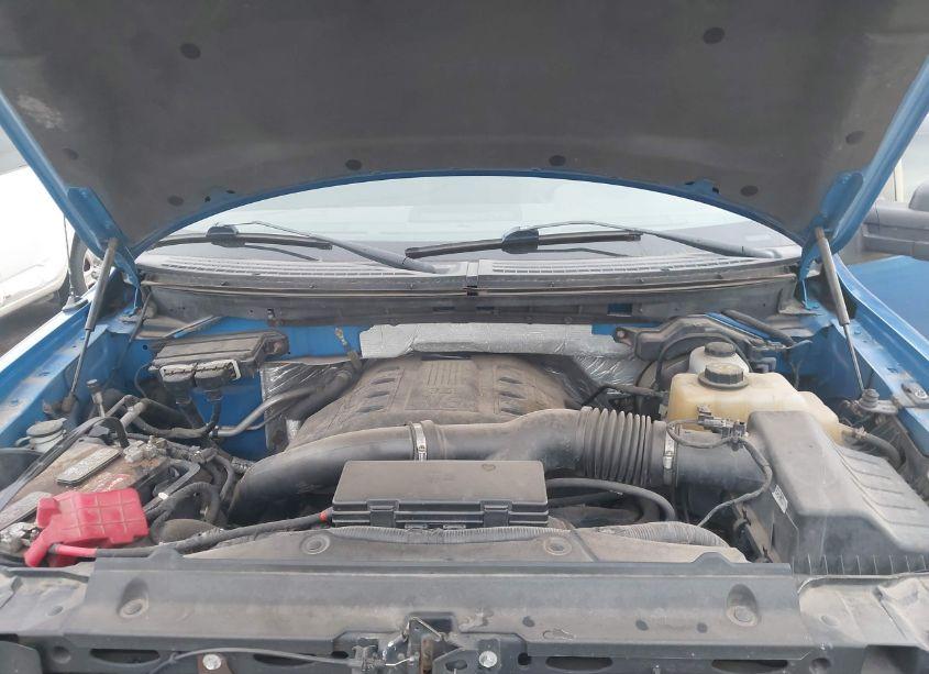 Photo 10 of 2013 Ford F-150 XLT (VIN 1FTFW1ET2DFA69664)