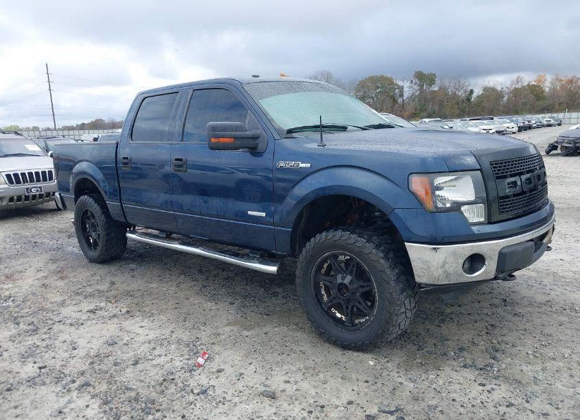 2013 Ford F-150 XLT (VIN 1FTFW1ET2DKD11005) main photo