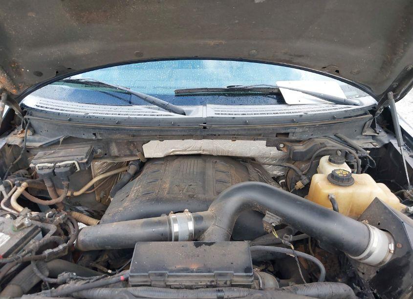 Photo 10 of 2013 Ford F-150 XLT (VIN 1FTFW1ET2DKD11005)