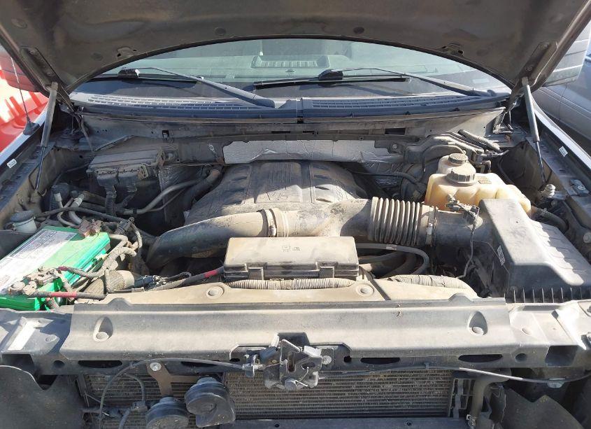 Photo 10 of 2013 Ford F-150 XLT (VIN 1FTFW1ET2DKE69148)