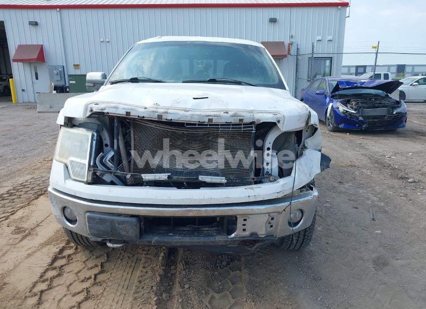 Photo 12 of 2014 Ford F-150 XLT (VIN 1FTFW1ET2EKG20765)