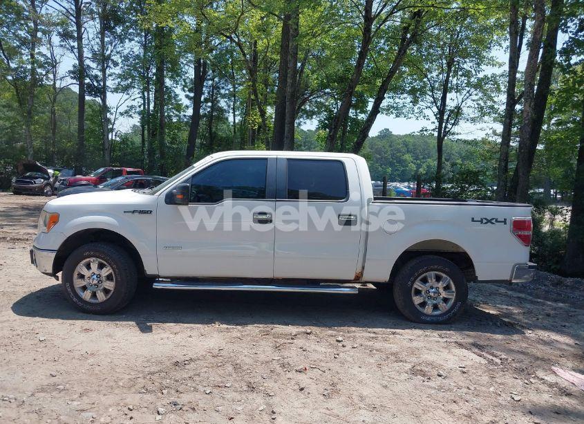 Photo 14 of 2011 Ford F-150 XLT (VIN 1FTFW1ET3BFB56681)