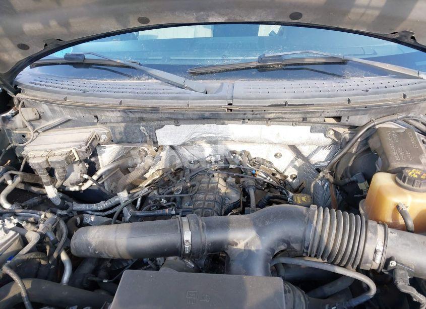 Photo 10 of 2011 Ford F-150 XLT (VIN 1FTFW1ET3BFB96176)