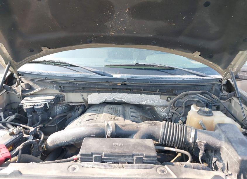 Photo 10 of 2011 Ford F-150 XLT (VIN 1FTFW1ET3BFC92101)