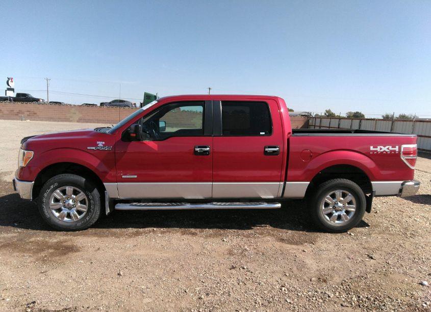 Photo 14 of 2012 Ford F-150 XLT (VIN 1FTFW1ET3CFA64259)
