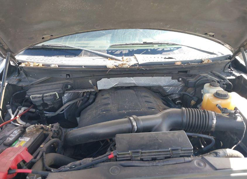 Photo 10 of 2013 Ford F-150 KING RANCH (VIN 1FTFW1ET3DKF70974)