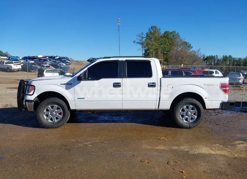 Photo 15 of 2014 Ford F-150 XLT (VIN 1FTFW1ET3EKG29555)