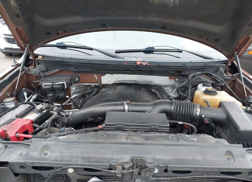 Photo 10 of 2011 Ford F-150 XLT (VIN 1FTFW1ET4BFC11722)