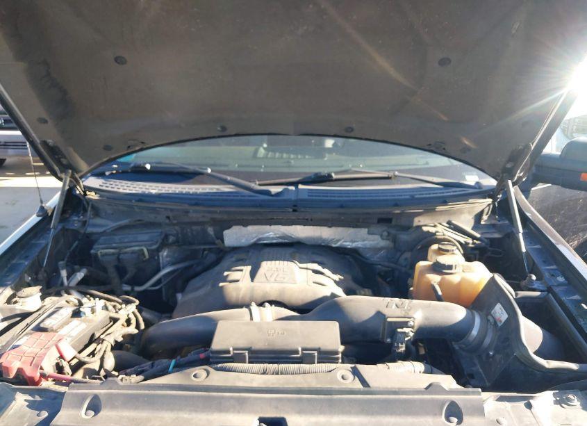 Photo 10 of 2013 Ford F-150 XLT (VIN 1FTFW1ET4DFA31482)