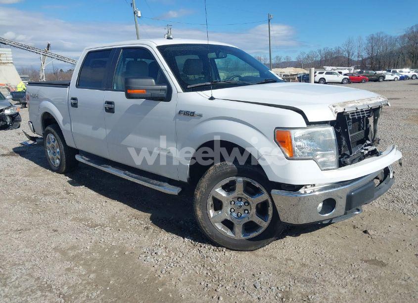 2013 Ford F-150 XLT (VIN 1FTFW1ET4DFC02506) main photo