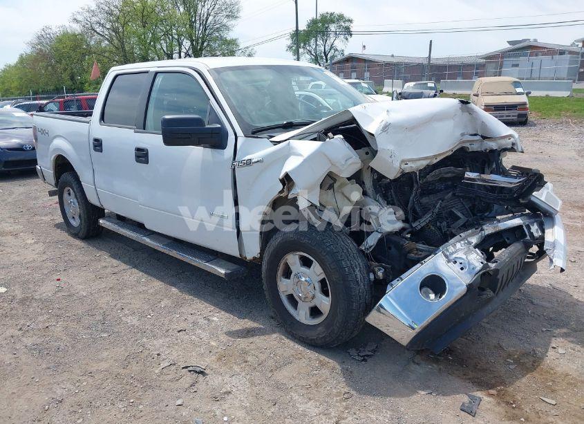 2013 Ford F-150 XLT (VIN 1FTFW1ET4DKF43928) main photo