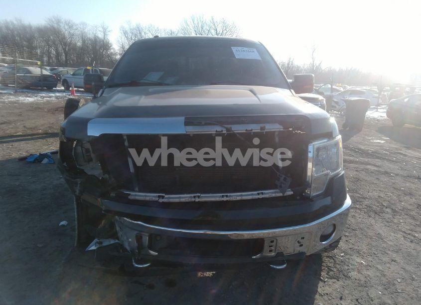 Photo 13 of 2014 Ford F-150 XLT (VIN 1FTFW1ET4EFC30341)