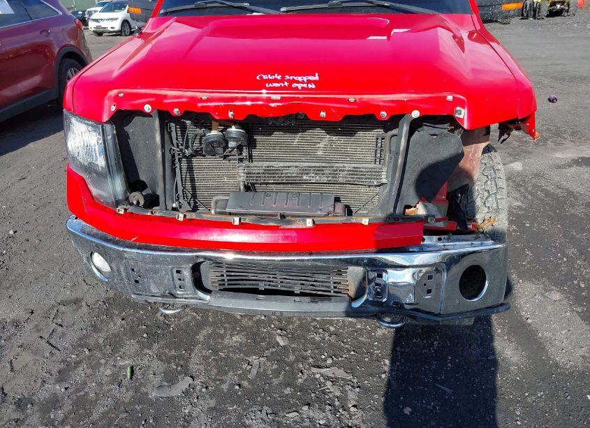 Photo 6 of 2011 Ford F-150 XLT (VIN 1FTFW1ET5BFA69929)