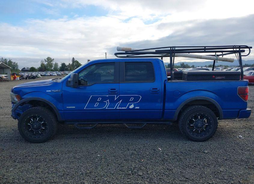 Photo 14 of 2011 Ford F-150 FX4 (VIN 1FTFW1ET5BKD91848)
