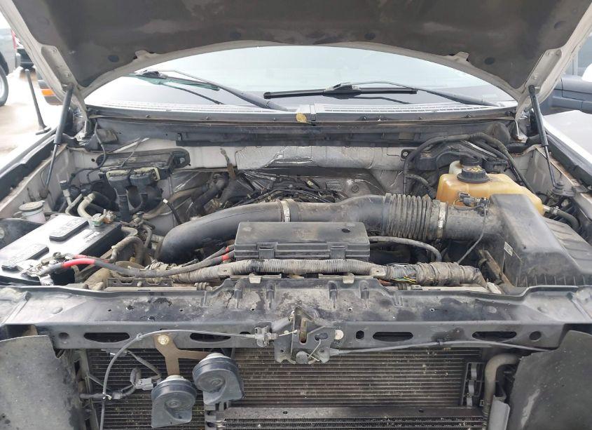 Photo 10 of 2012 Ford F-150 FX4 (VIN 1FTFW1ET5CFA11871)