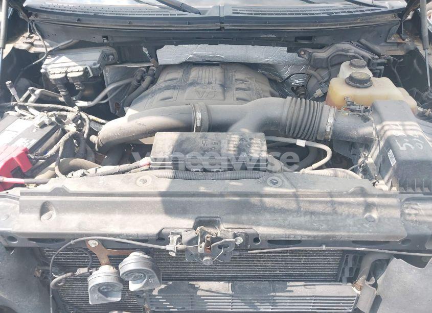 Photo 10 of 2013 Ford F-150 XLT (VIN 1FTFW1ET5DFD28566)