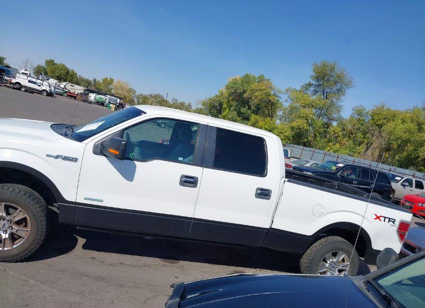 Photo 14 of 2014 Ford F-150 XLT (VIN 1FTFW1ET5EFC45365)
