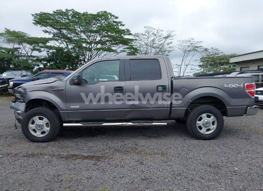 Photo 14 of 2014 Ford F-150 XLT (VIN 1FTFW1ET5EKF41512)