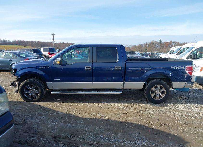 Photo 14 of 2011 Ford F-150 XLT (VIN 1FTFW1ET6BFC45788)