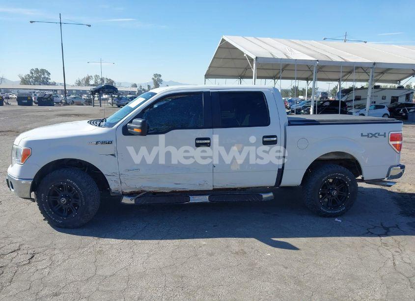 Photo 14 of 2013 Ford F-150 XLT (VIN 1FTFW1ET6DFA03828)