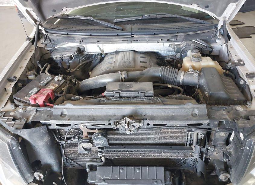 Photo 10 of 2013 Ford F-150 FX4 (VIN 1FTFW1ET6DFB25217)