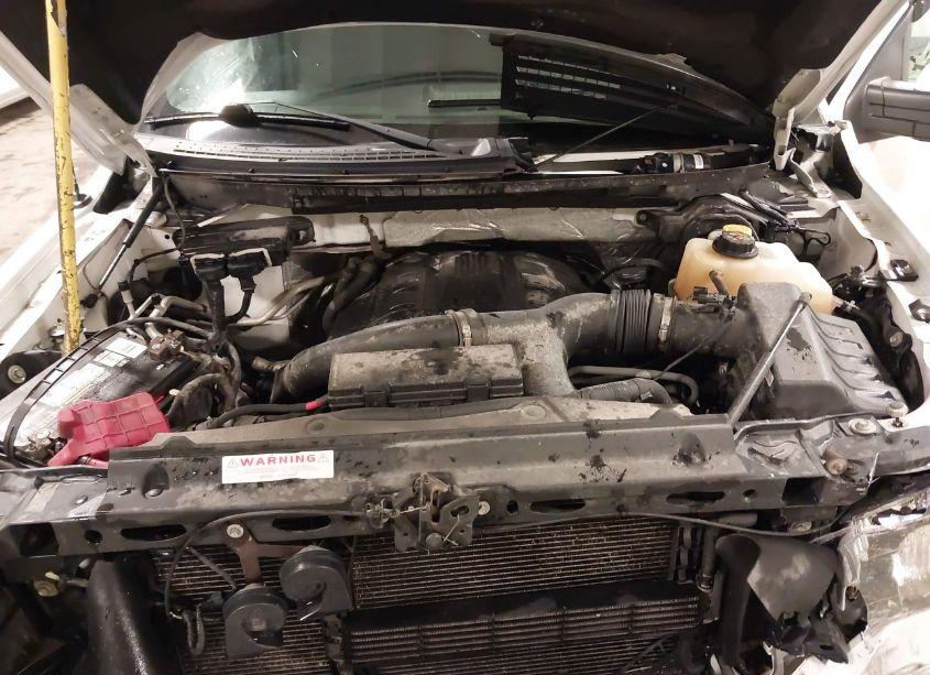 Photo 10 of 2013 Ford F-150 FX4 (VIN 1FTFW1ET6DKG43268)