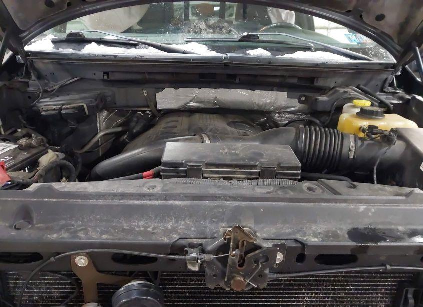 Photo 10 of 2014 Ford F-150 XLT (VIN 1FTFW1ET6EKF34116)