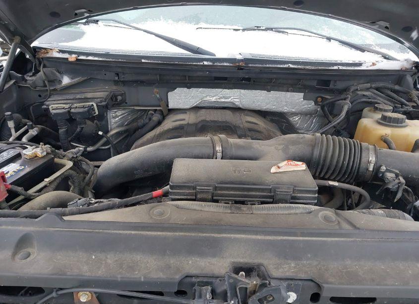 Photo 10 of 2011 Ford F-150 XLT (VIN 1FTFW1ET7BFC12394)