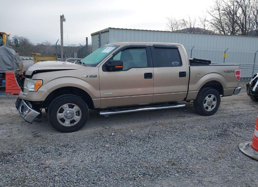 Photo 14 of 2011 Ford F-150 XLT (VIN 1FTFW1ET7BFC63538)