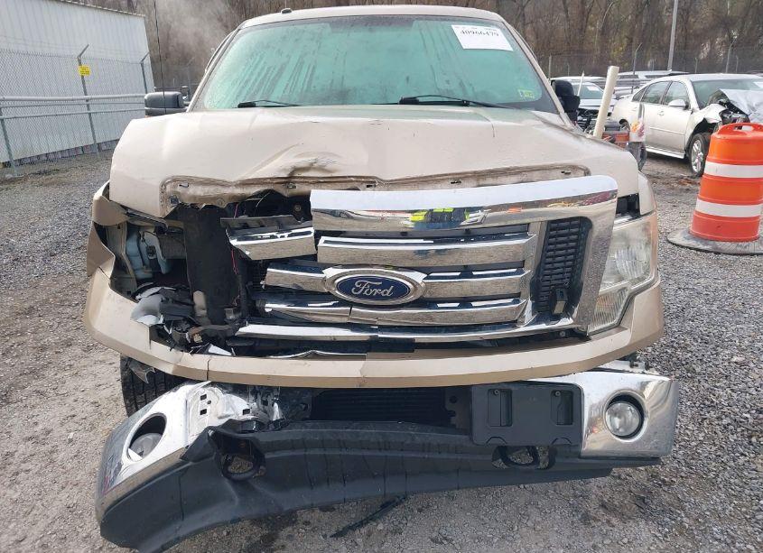 Photo 6 of 2011 Ford F-150 XLT (VIN 1FTFW1ET7BFC63538)