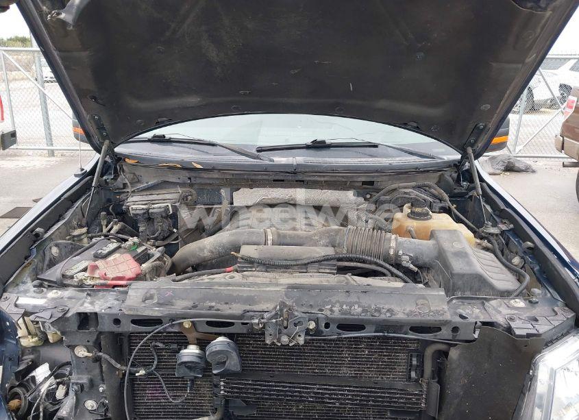 Photo 10 of 2011 Ford F-150 XLT (VIN 1FTFW1ET7BFC91338)