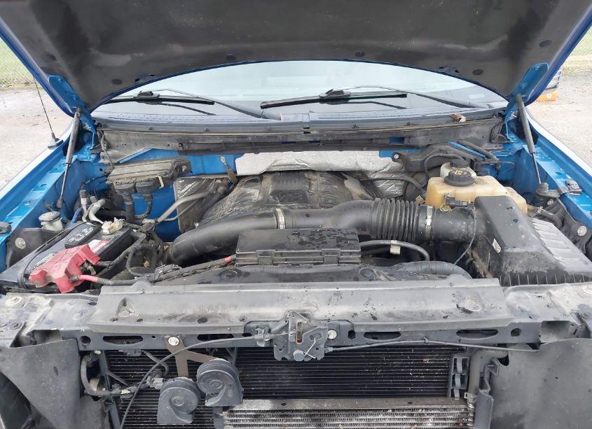 Photo 10 of 2013 Ford F-150 XLT (VIN 1FTFW1ET7DFA28690)