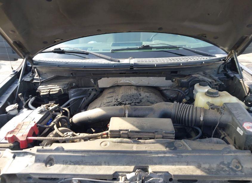 Photo 10 of 2013 Ford F-150 XLT (VIN 1FTFW1ET7DFB24089)